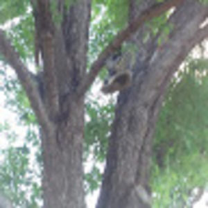 Meet your Posher, Edwin